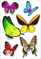 tatuaze-zmywalne-motyle-motylki
