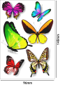 tatuaze-tymczasowe-motyle-wodne-zmywalne