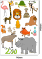 tatuaze-tymczasowe-zwierzeta-zoo-wodne-zmywalne