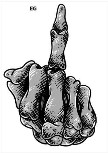 Tatuaz-zmywalny-fuck-you-srodkowy-palec