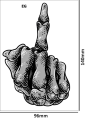 Tatuaz-tymczasowy-srodkowy-palec-fuck-you-zmywalny-wodny