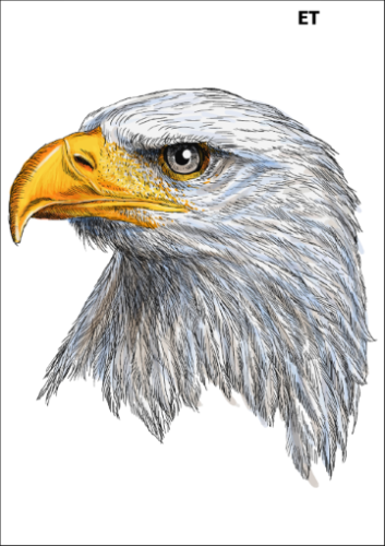Tatuaz-zmywalny-orzel-patriotyczny