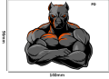 Tatuaz-tymczasowy-pitbull-zmywalny-wodny