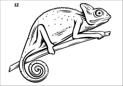 Tatuaz-zmywalny-kameleon