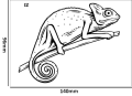 Tatuaz-tymczasowy-kameleon-zmywalny-wodny