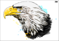 Tatuaz-zmywalny-orzel
