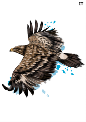 Tatuaz-zmywalny-orzel