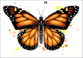 Tatuaz-zmywalny-motyl