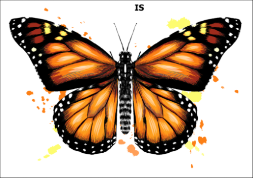 Tatuaz-zmywalny-motyl