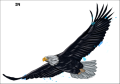 Tatuaz-zmywalny-orzel
