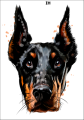Tatuaz-zmywalny-pies-doberman