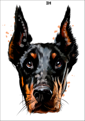 Tatuaz-zmywalny-pies-doberman