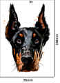 Tatuaz-tymczasowy-doberman-zmywalny-wodny