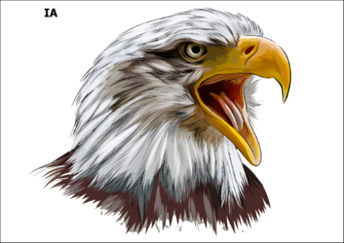 Tatuaz-zmywalny-orzel-patriotyczny