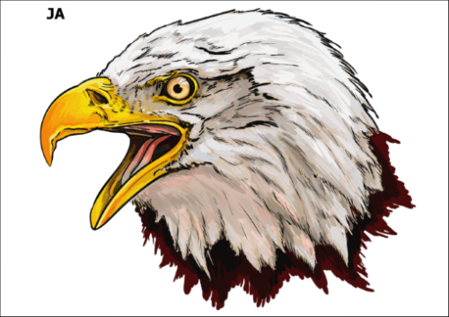 Tatuaz-zmywalny-orzel