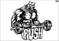 Tatuaz-zmywalny-silownia-bodybuilding