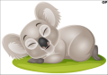 Tatuaz-dla-dzieci-mis-koala