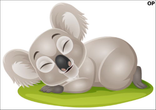 Tatuaz-dla-dzieci-mis-koala