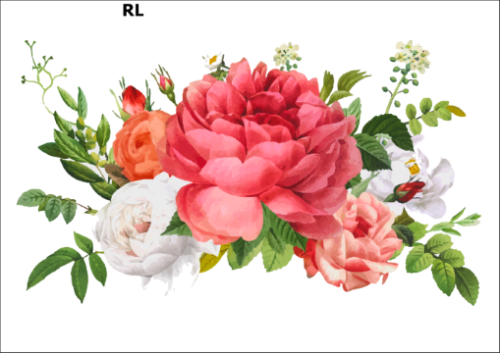 Tatuaz-zmywalny-kwiaty-roze