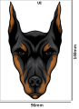 Tatuaz-tymczasowy-doberman-zmywalny-wodny