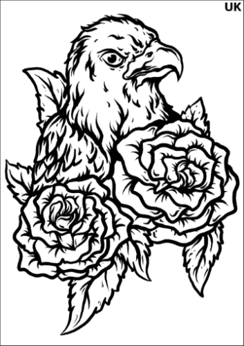 Tatuaz-zmywalny-piracka-papuga