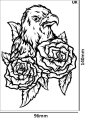 Tatuaz-tymczasowy-papuga-zmywalny-wodny