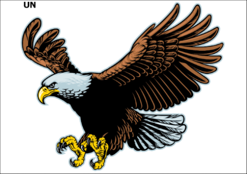 Tatuaz-dla-dzieci-orzel