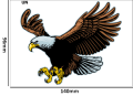 Tatuaz-tymczasowy-orzel-zmywalny-wodny