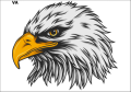 Tatuaz-dla-dzieci-orzel
