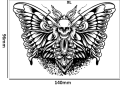 Tatuaz-tymczasowy-motyl-mroczny-zmywalny-wodny